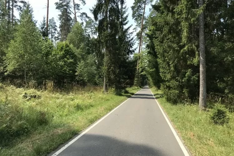 Дорога в Беловежскую пущу