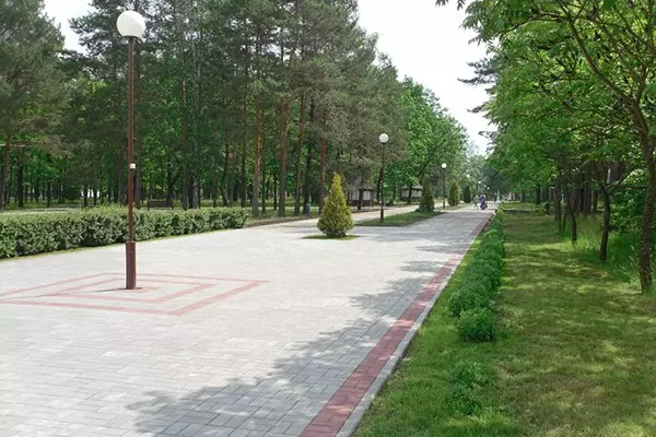 Санаторий "Алеся". Территория