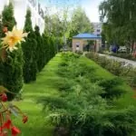 Оздоровительный центр "Энергия". Территория