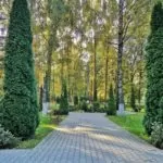 Оздоровительный центр "Энергия". Территория